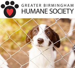 The Byron Eaton Agency Joins The Greater Birmingham Humane Society In ...